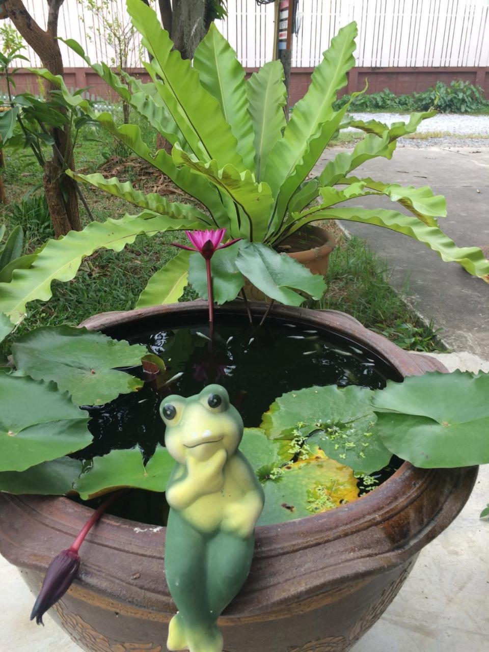Lotus Place Sukhothai Exteriör bild